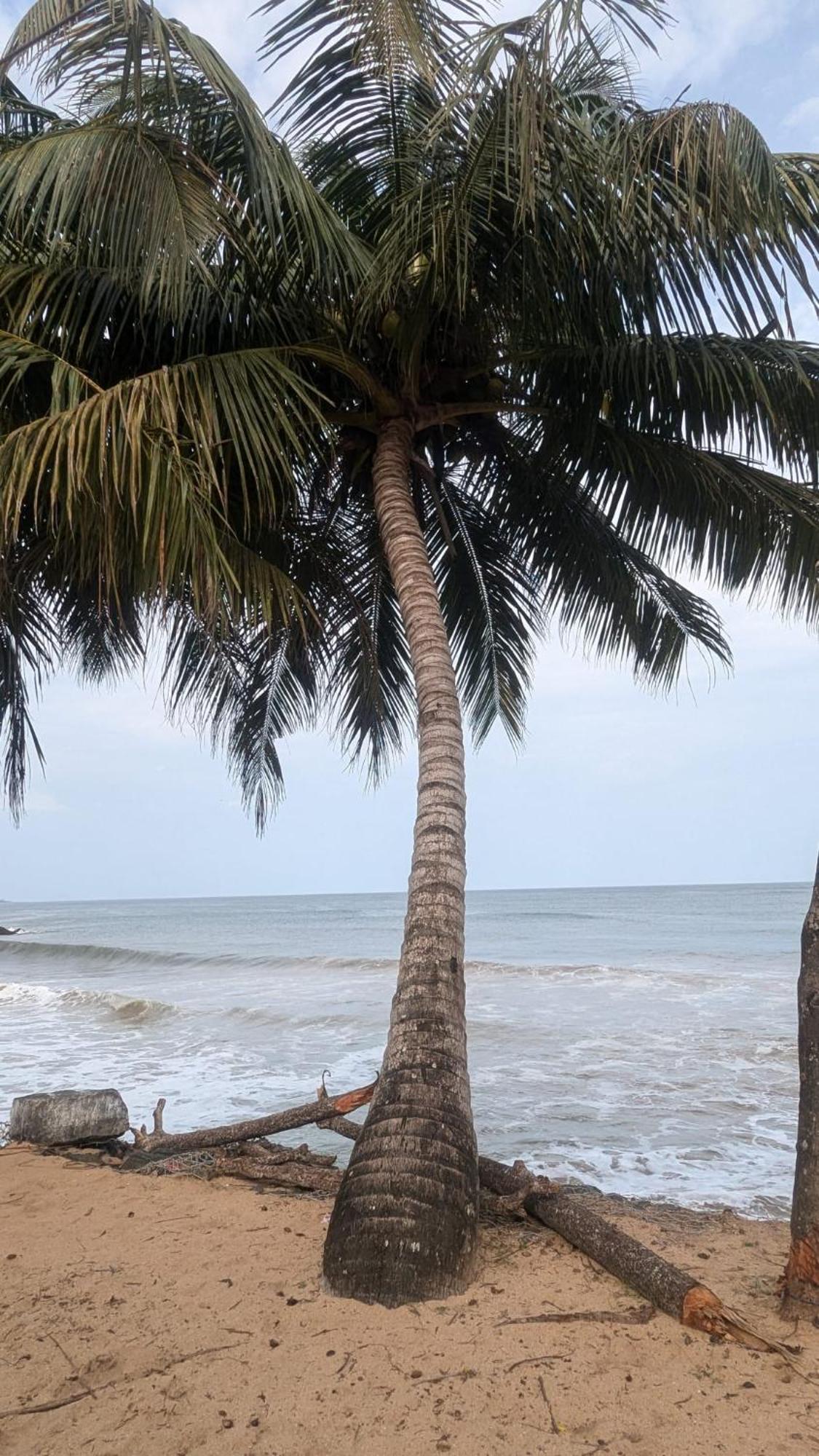 Chandi Gaya Beach Guesthouse Tangalle Bagian luar foto